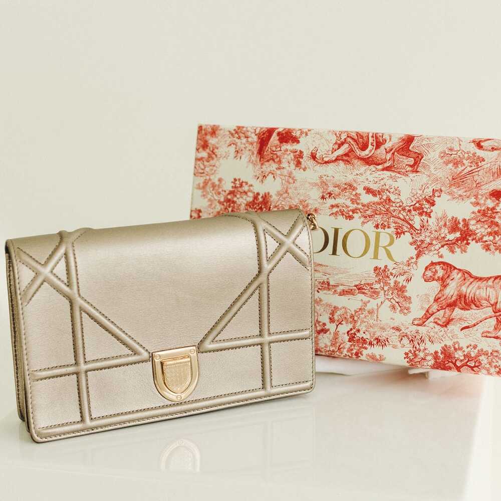 Christian Dior Diorama Bag/Wallet on Chain